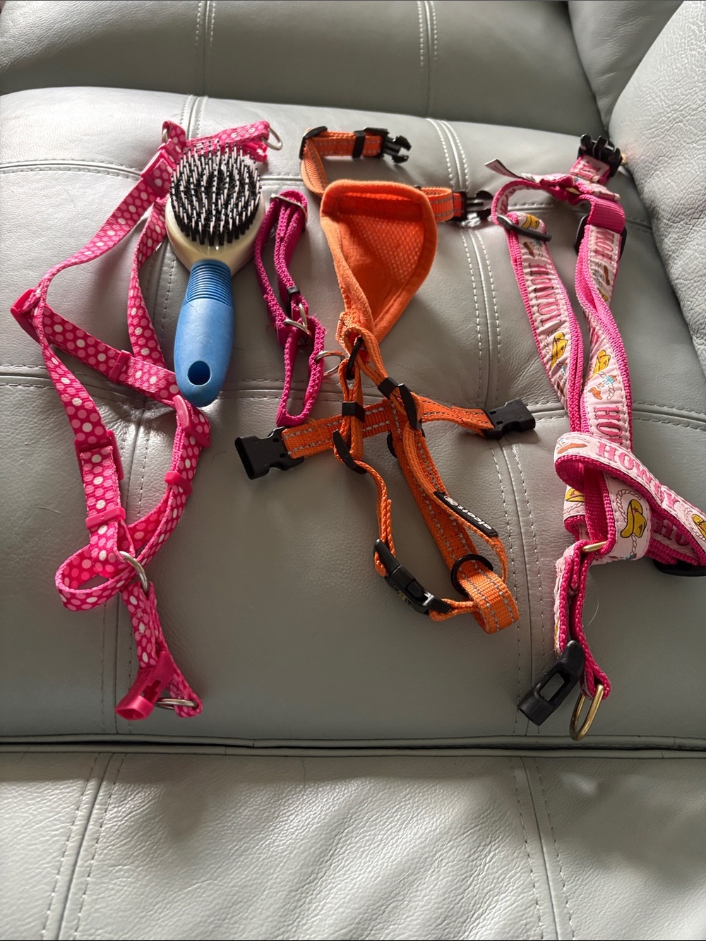 Dog pink and Orange Harness Set with Brus